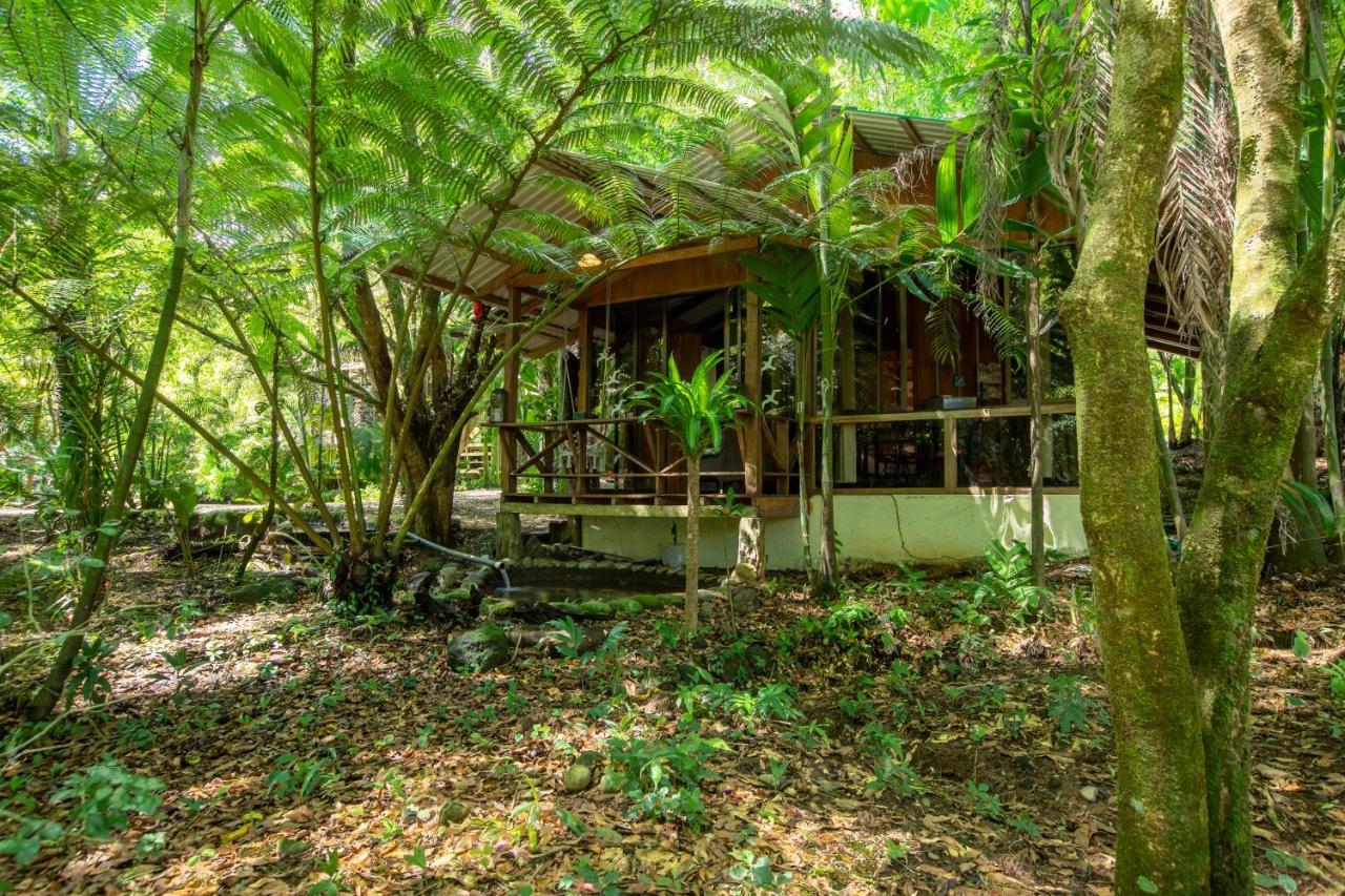 La Fortuna Cabanas Del Lago מראה חיצוני תמונה