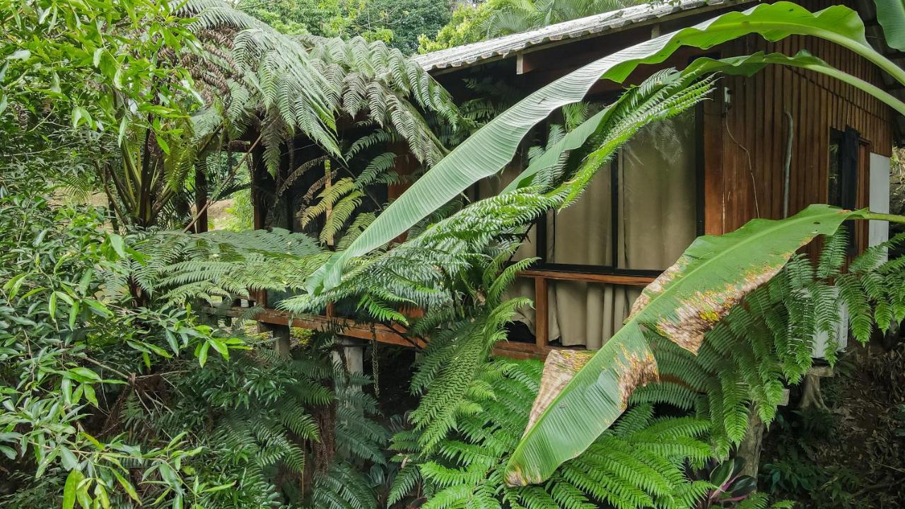 La Fortuna Cabanas Del Lago מראה חיצוני תמונה